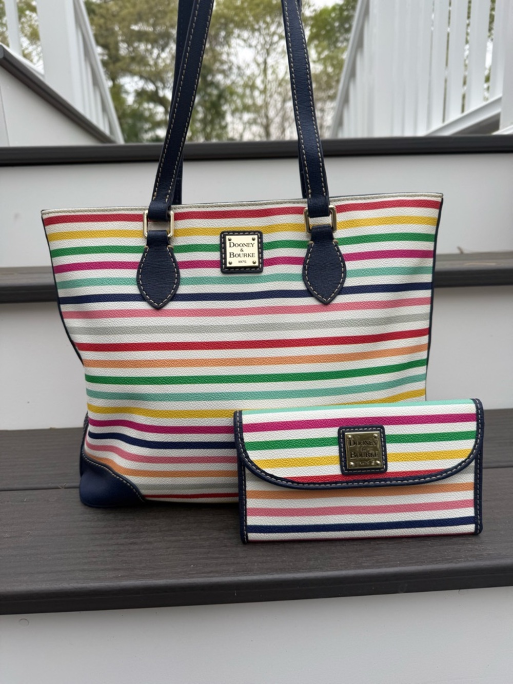 Dooney & Bourke Multi Colored Striped Chelsea Tote with Matching Wallet